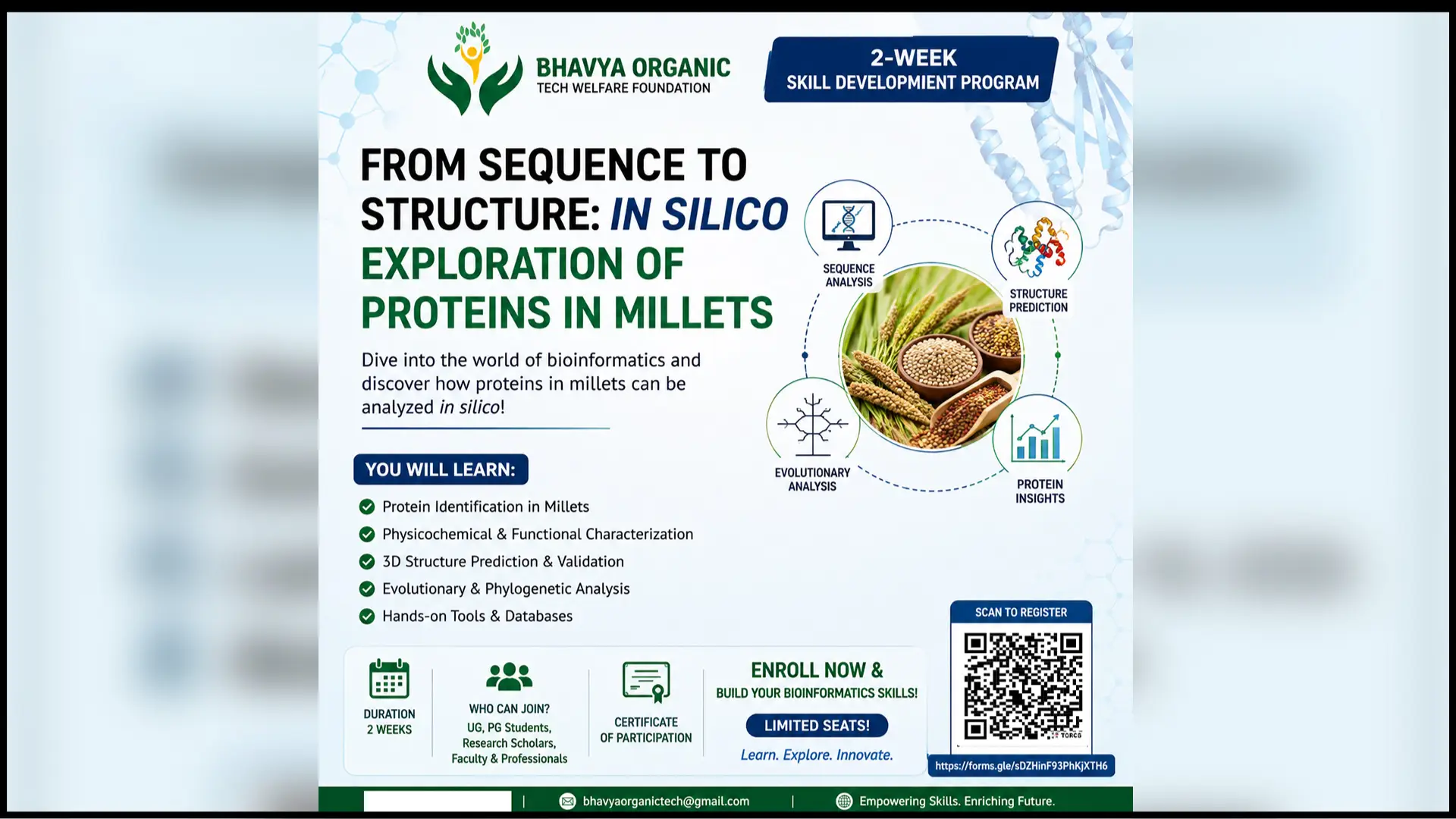 From Sequence to Structure: In Silico Exploration of Proteins in Millets
