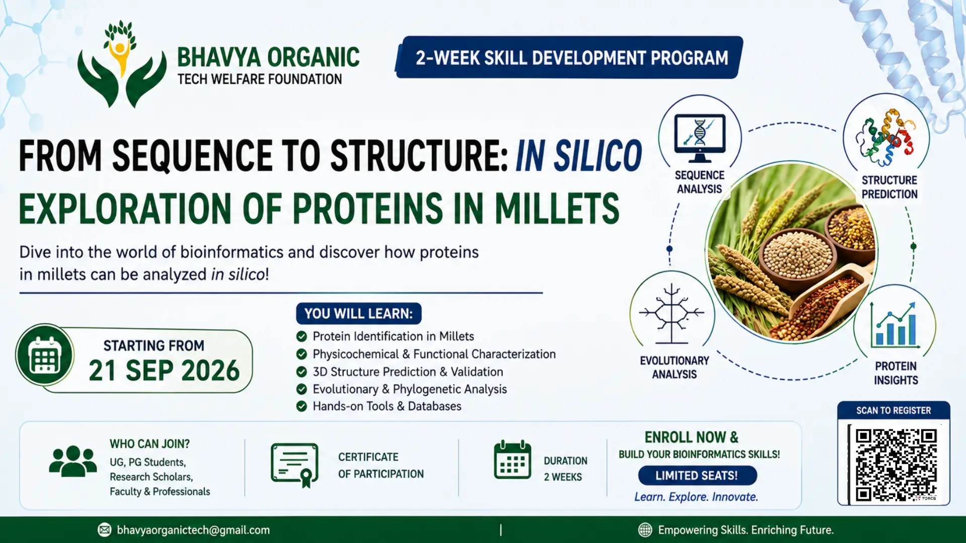 From Sequence to Structure: In Silico Exploration of Proteins in Millets